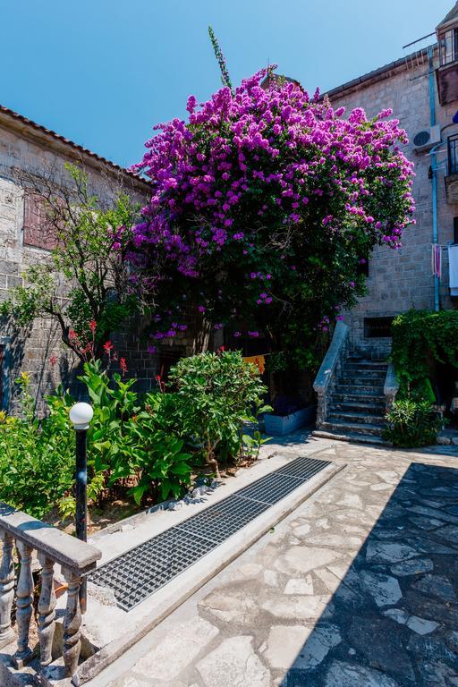 Celine'S Place By The Sea Kotor Ngoại thất bức ảnh