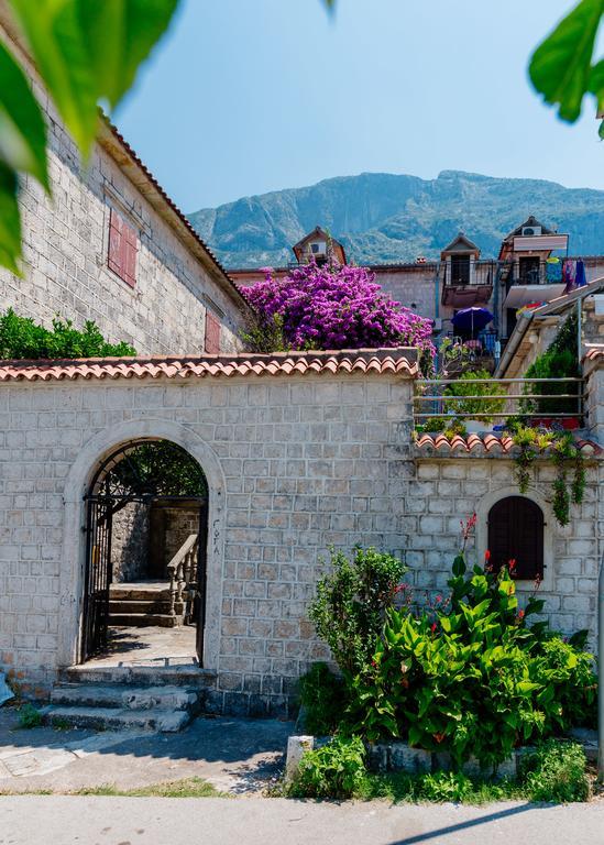 Celine'S Place By The Sea Kotor Ngoại thất bức ảnh